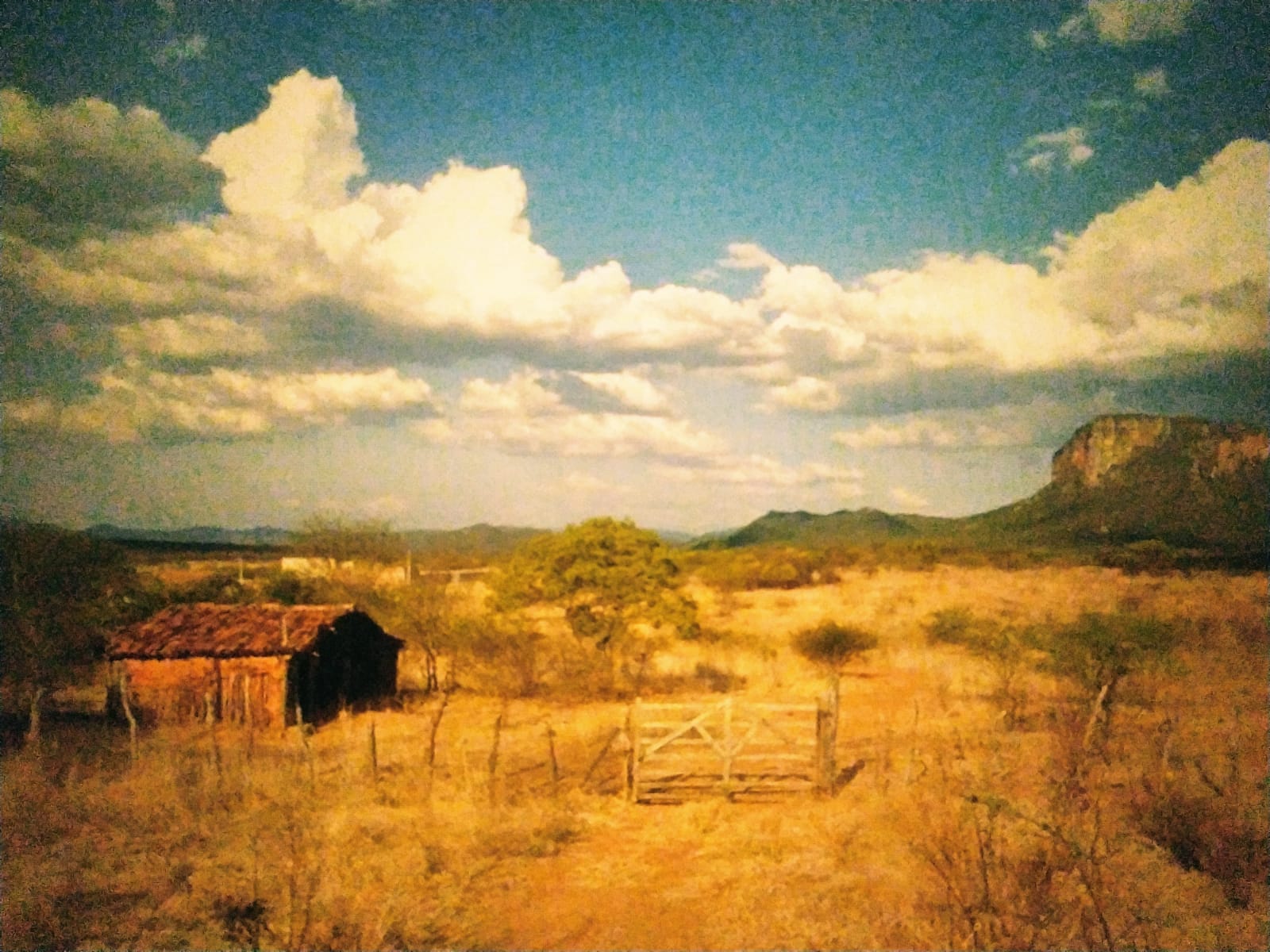 Desertificação Capa BD1