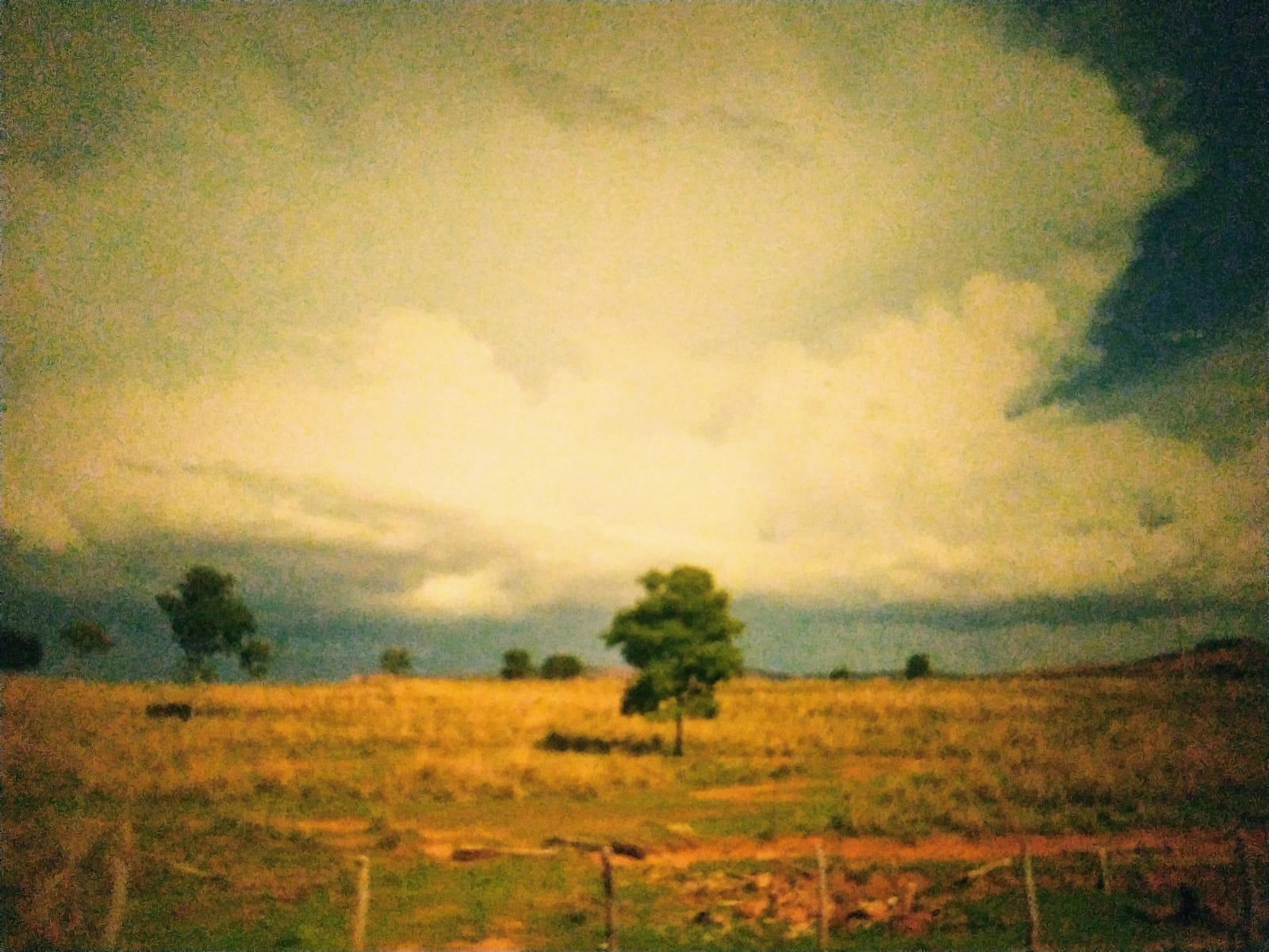 Desertificação BD2