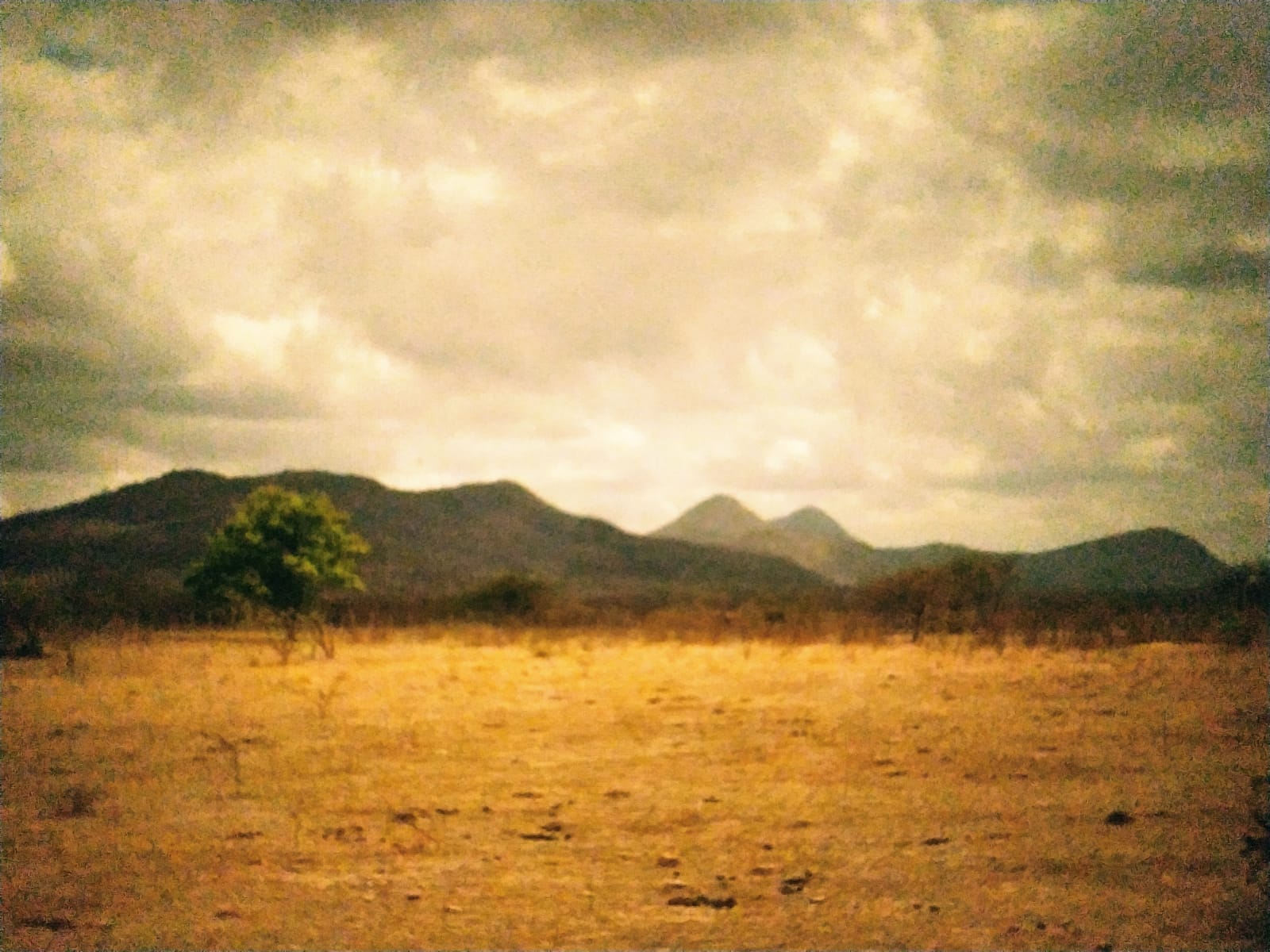 Desertificação BD4