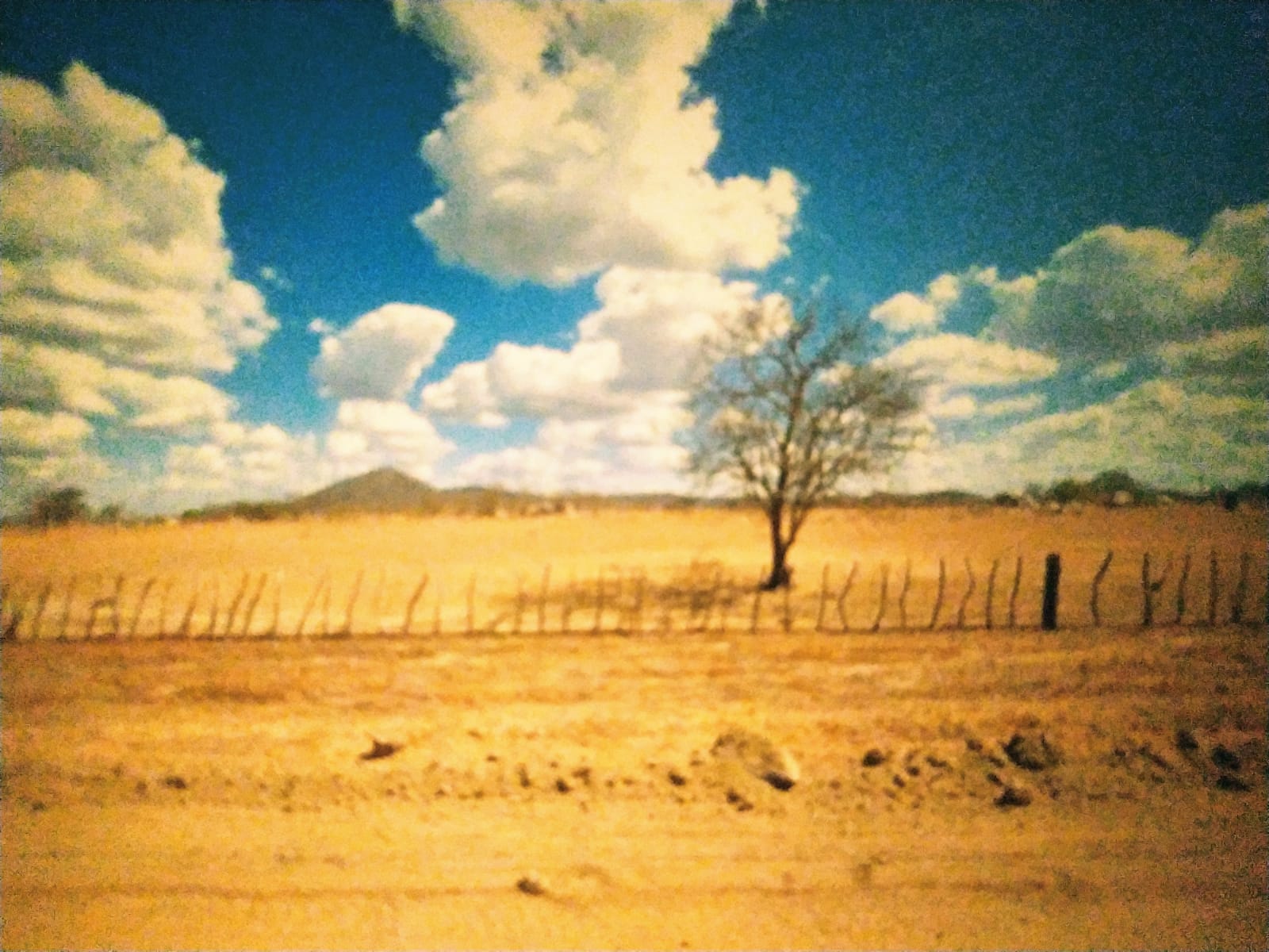 Desertificação BD5