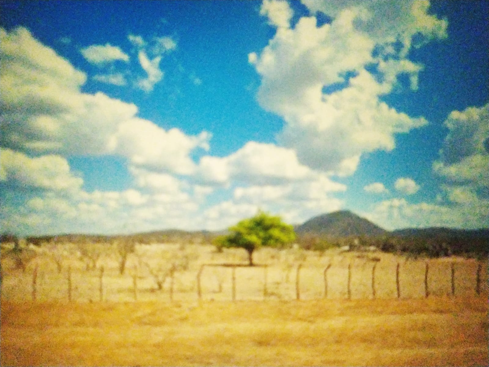 Desertificação BD6