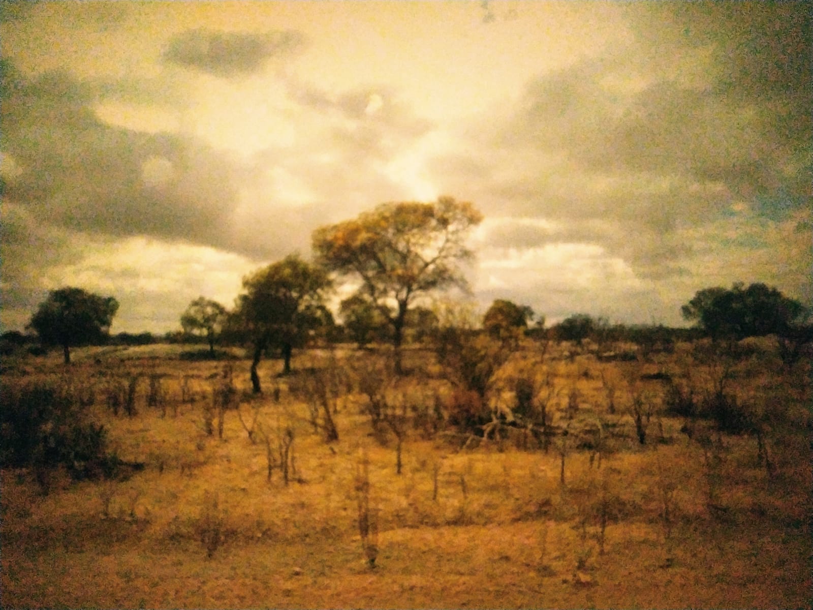 Desertificação BD7